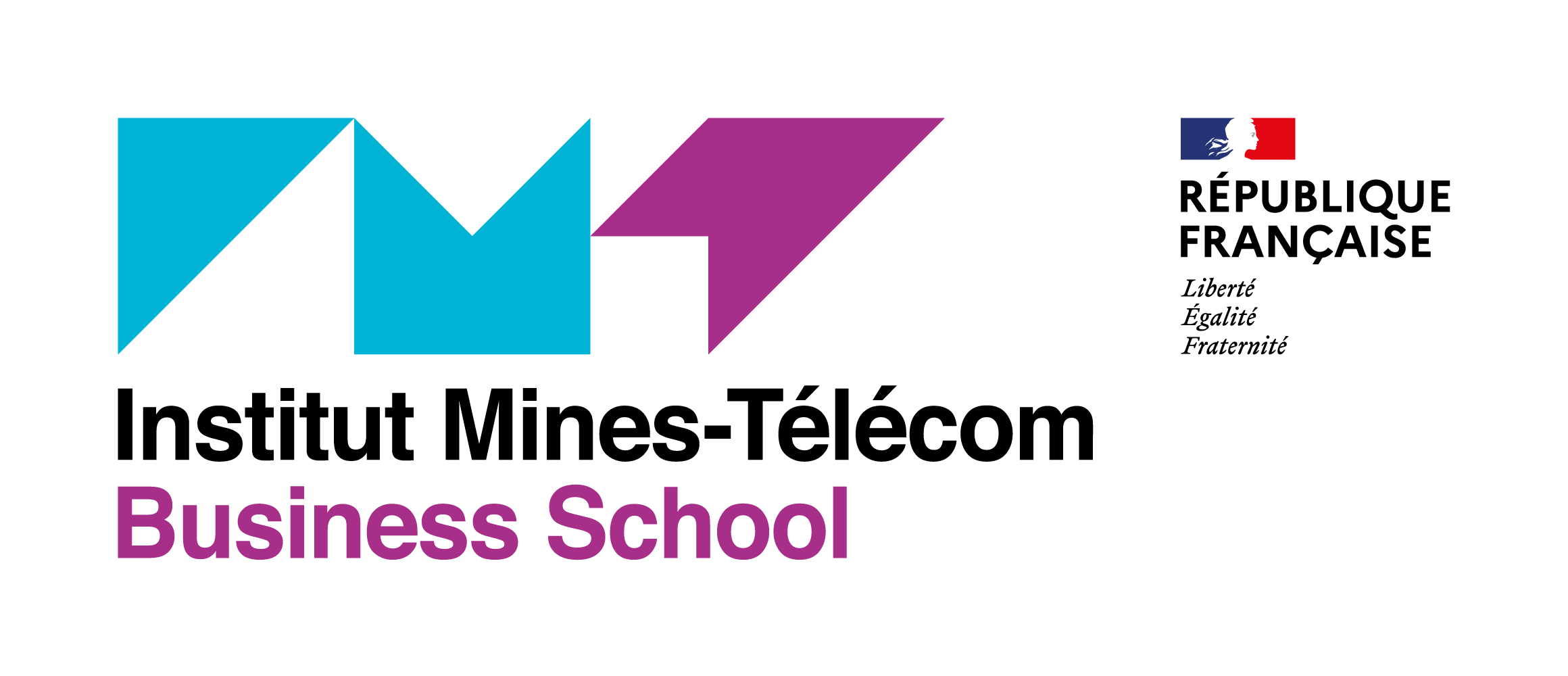 Logo IMT-BS
